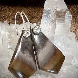 May include: A pair of silver earrings with brown and gray stone accents. The earrings are shaped like triangles and have a polished finish.