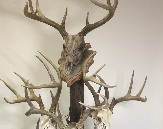 Bag R Buck Euro Rax Trophy Tree 67 Inch Barnwood Top Plaque and Base