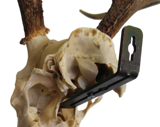 Bag R Buck Euro Rax Skull Mounting Bracket 14 g lightweight