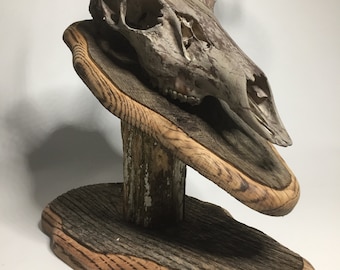 Bag R Buck Barnwood Table Top Trophy Mount