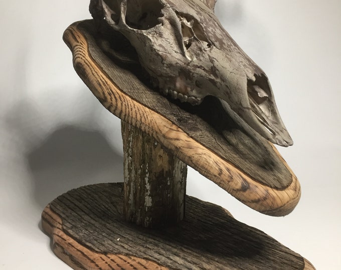 Bag R Buck Barnwood Table Top Trophy Mount