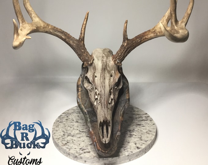 Bag R Buck Euro Rax Table Top Trophy Tree 11 Inch Camo Barnwood Top Plaque and Granite or Marble Base