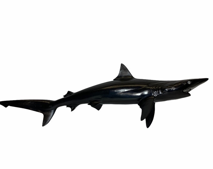 Custom 28 in Blacktip Shark Mount