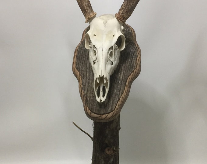 Bag R Buck Euro Rax Trophy Tree 30 Inch Barnwood Top Plaque and Granite or Marble Base