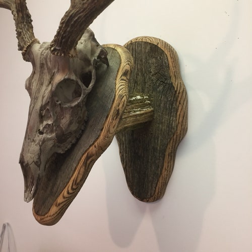 Bag R Buck Barnwood Wall Hanging Trophy Mount with shops camo dipped front plaque