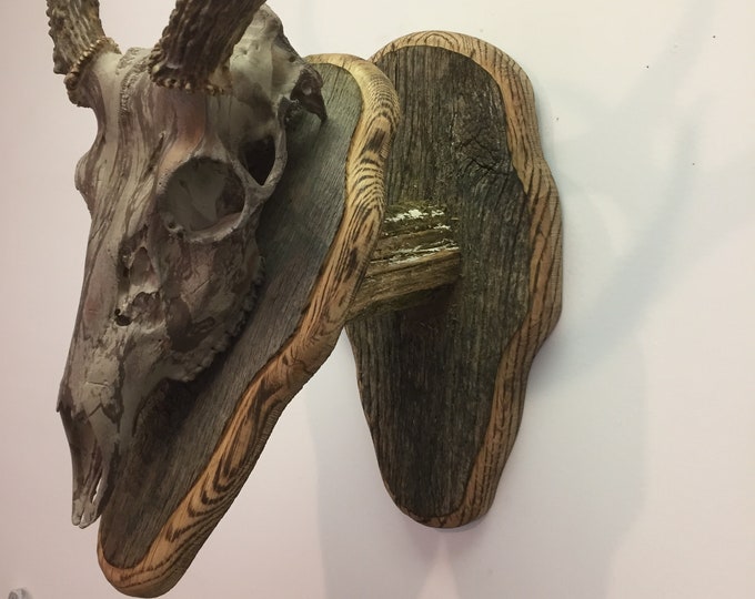 Bag R Buck Barnwood Wall Hanging Trophy Mount