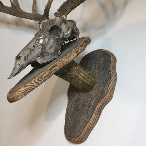 Bag R Buck Barnwood Wall Hanging Trophy Mount with shops camo dipped front plaque