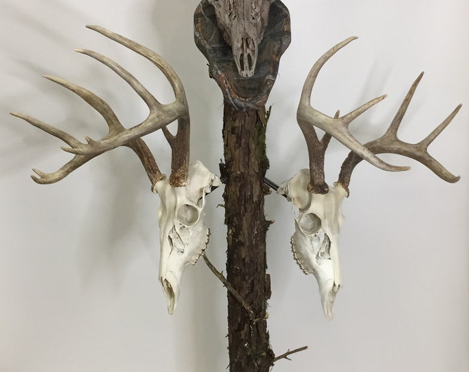 Bag R Buck Euro Rax Trophy Tree 50 Inch Barnwood Top Plaque and Granite or Marble Base