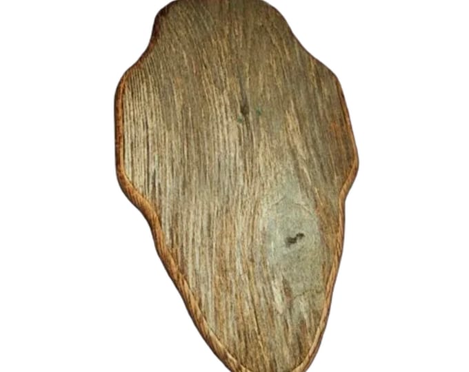 European Plaque with Euro Rax Skull Mounting Bracket