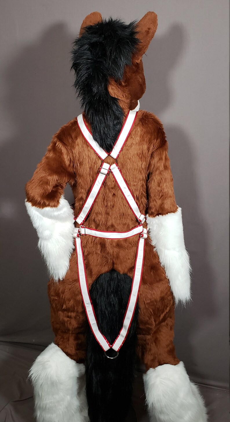 2 Layer Nylon Husky Sled Dog Pulling Harness Etsy