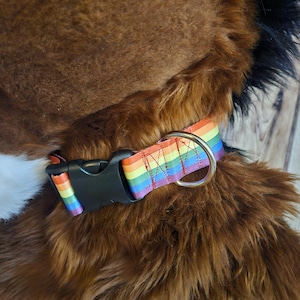 May include: A rainbow-colored dog collar with a black plastic buckle and a silver metal ring. The collar is made of a striped fabric in the colors of the rainbow. The collar is on a brown, furry surface.