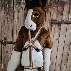 May include: A brown and white horse costume with a rainbow harness. The costume has a white chest and forearms, with a brown body and head. The head has black hair and green eyes. The background is a wooden door.