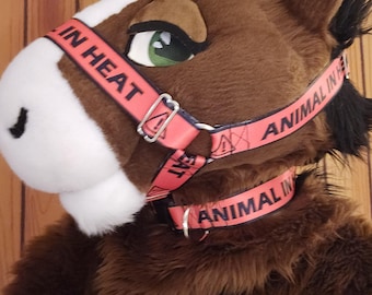 Animal In Heat Nylon Harness Muzzle or Collar