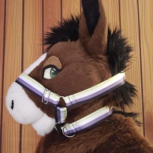 May include: A brown horse head with a black mane and green eyes. The horse head is wearing a halter with purple, white, and green stripes. The background is a wooden wall.