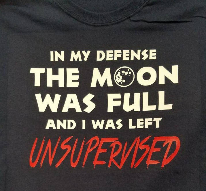 the moon was full and i was left unsupervised