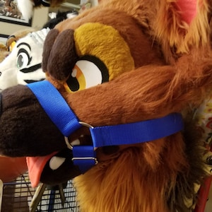 May include: A brown and orange furry animal head with a blue nylon muzzle. The muzzle has a silver ring and a buckle.