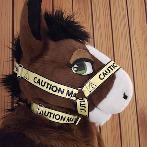 Precaución: Puede morder el bozal o collar del arnés de nailon.