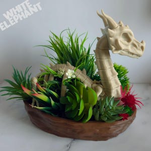 May include: A decorative dragon skeleton planter with faux greenery and flowers. The dragon is a light beige colour, and the planter is brown. The text "WHITE ELEPHANT" is in the upper left corner.