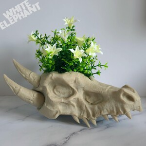 May include: A beige dragon skull-shaped planter, featuring horns and sharp teeth, filled with green foliage and white flowers. The text "WHITE ELEPHANT" is visible. A distinctive decorative item for home interiors.