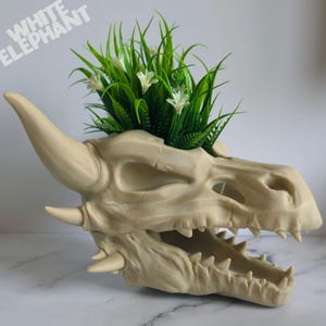 May include: A beige dragon skull plant pot filled with green and white artificial plants. The skull features detailed teeth and horns. The text "WHITE ELEPHANT" is in the upper left corner.