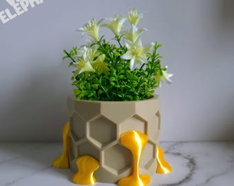 3D Printed Honeycomb Decorative Plant Pot Gift