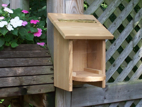Wall Mount Bird Feeder Etsy