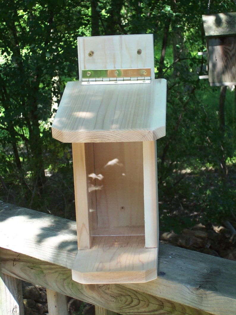 Built For The Out Doorshandmade Whole Peanut Squrrel Etsy