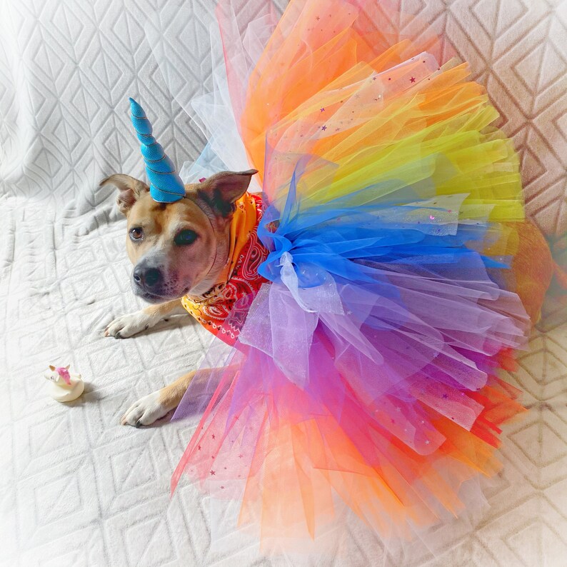 Rainbow Unicorn L-XL Pet 5 Piece Costume Set