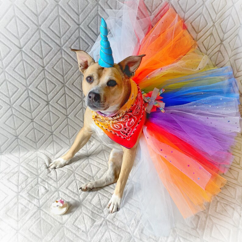 Rainbow Unicorn L-XL Pet 5 Piece Costume Set