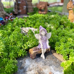 May include: A miniature fairy figurine in a purple dress and hat with white wings, sitting on a brown bench. The fairy is part of a fairy garden scene with green plants and other miniature decorations.