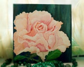 Pink rose for the queen. 100% Original. Oil painting