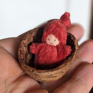 May include: A miniature red doll with a hooded outfit rests inside a walnut shell. The doll has a light-colored face and is made of a soft, textured material. The walnut shell is brown and adds a natural element to the scene.