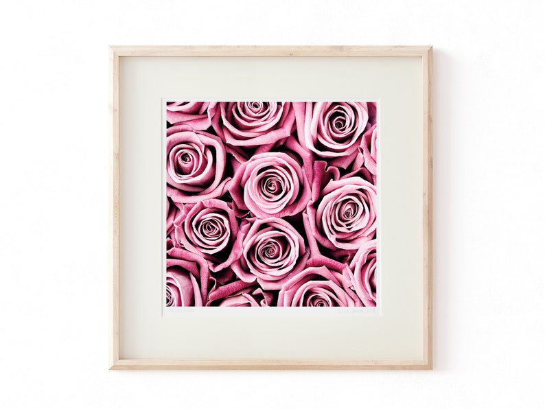 Rose botanical print, simplistic print wall art, framed roses garden photography ideal Anniversary gift, Valentine gift or Mothers Day gift image 7