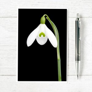 Biglietto di auguri con bucaneve - Bucaneve unici - Biglietto per gli amanti dei fiori e delle piante nati a gennaio.