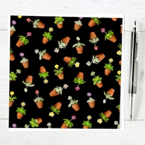 Cartão Auricula com design de estilo de teatro Auricula em vasos de terracota. Cartão de felicitações de flores de jardim inglês de primavera em branco floral