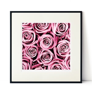 Rose botanical print, simplistic print wall art, framed roses garden photography ideal Anniversary gift, Valentine gift or Mothers Day gift image 1