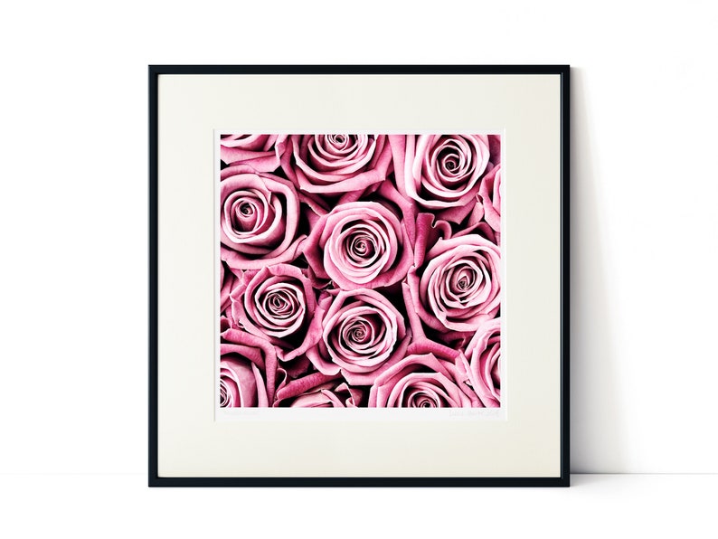 Rose botanical print, simplistic print wall art, framed roses garden photography ideal Anniversary gift, Valentine gift or Mothers Day gift image 1
