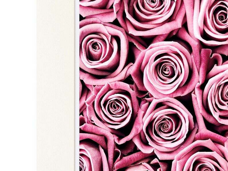 Rose botanical print, simplistic print wall art, framed roses garden photography ideal Anniversary gift, Valentine gift or Mothers Day gift image 5