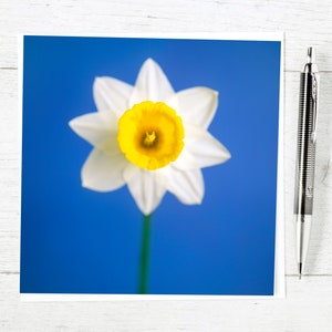 Cartes de correspondance florales jonquilles, idéales pour envoyer de l'amour pour un anniversaire, la fête des mères, Pâques ou simplement pour dire merci, carte de voeux