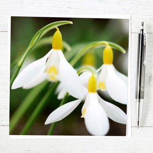 Tarjeta de felicitación con campanillas de invierno - Tarjeta única con campanillas de invierno - Tarjeta para amantes de las flores y plantas que nacen en enero