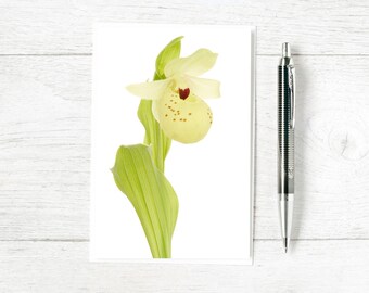 Orchid Card - Floral Greetings Card - Botanical Birthday Card - Ladys Slipper Orchid