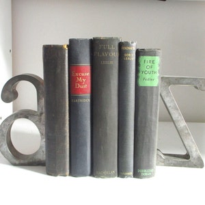 May include: A set of bookends shaped like the letters A and Z, made of metal, holding up a row of five hardcover books with titles including "Full Flavour", "Polonaise", "Excuse My Dust", and "Fire of Youth".