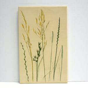 May include: A beige tile with a pressed design of green and yellow grasses. The tile is a light beige colour and the grasses are pressed into the tile.