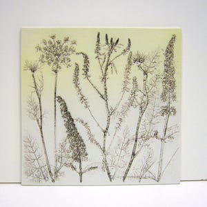 Peut inclure: Carreau de céramique carré avec une impression botanique de diverses plantes et fleurs dans des tons bruns et beiges. L'illustration détaillée présente des tiges, des feuilles et des têtes de graines, créant un design naturel et artistique. Le carreau a un fond blanc cassé.