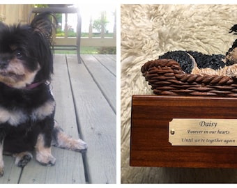 yorkie cremation urn