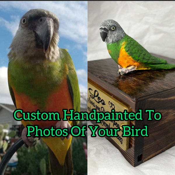 Custom Engraved Senegal Parrot Handpainted Bird Mini Urn Figurine Pet Portrait Memorial