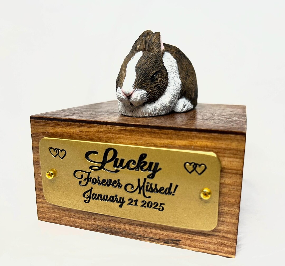 Rabbit Engraved Custom Engraved Dwarf Bunny Rabbit Urn Handpainted to Your Photos - Etsy