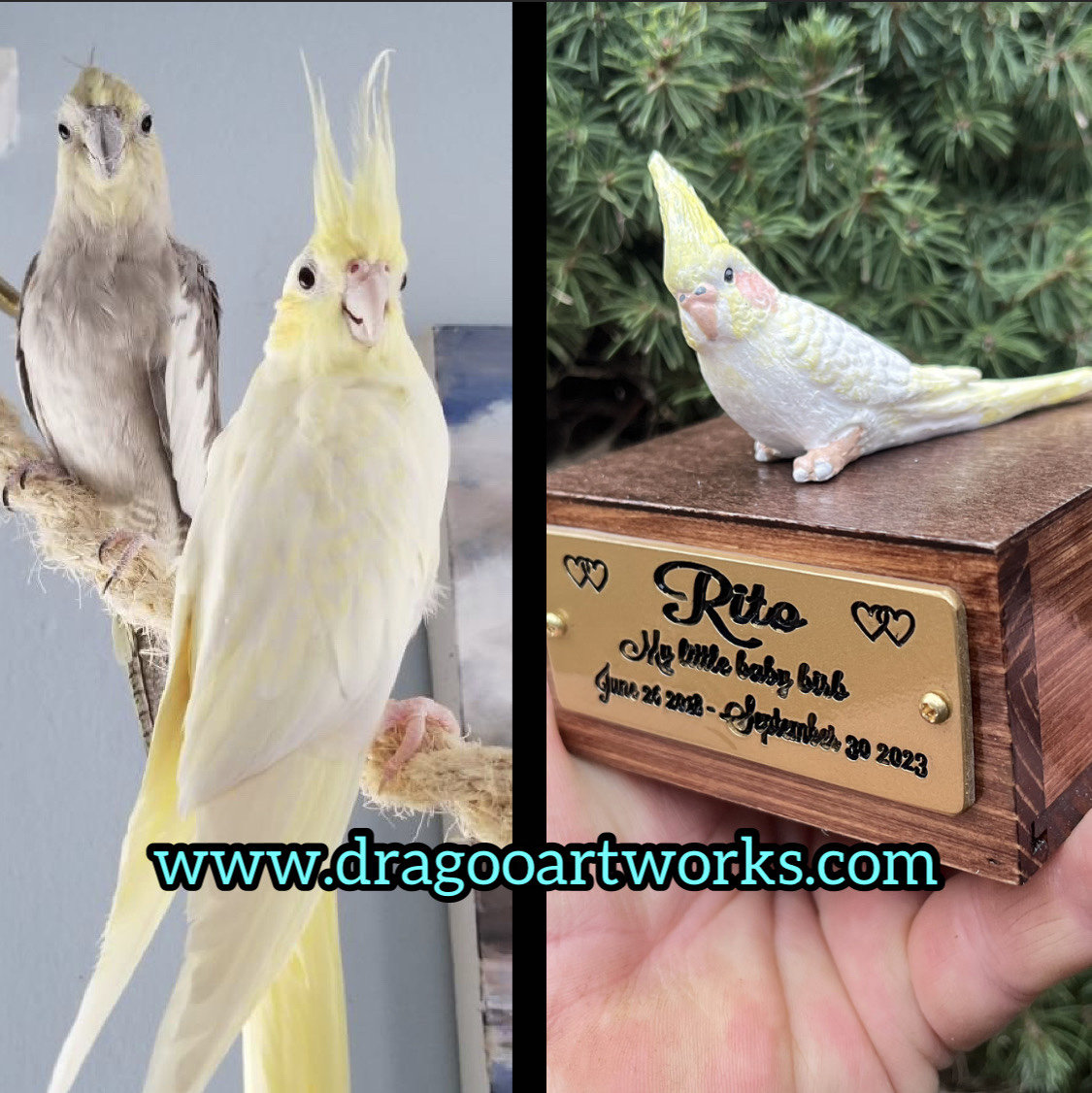 Handpainted Engraved Cockatiel Bird Mini Keepsake Urn to Your Photo Pet Portrait Etsy