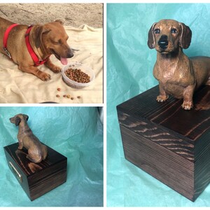 Puede incluir: Una escultura de perro salchicha marr&oacute;n sobre una caja de madera te&ntilde;ida oscura. La escultura tiene detalles realistas. La caja tiene una placa de lat&oacute;n. La imagen tambi&eacute;n muestra un perro salchicha vivo con un arn&eacute;s rojo y un cuenco de comida.
