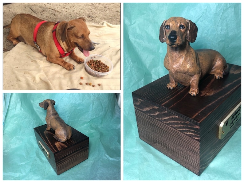 Puede incluir: Una escultura de perro salchicha marr&oacute;n sobre una caja de madera te&ntilde;ida oscura. La escultura tiene detalles realistas. La caja tiene una placa de lat&oacute;n. La imagen tambi&eacute;n muestra un perro salchicha vivo con un arn&eacute;s rojo y un cuenco de comida.
